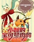 小智的宝可梦肉鸽