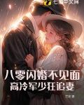 八零闪婚不见面,高冷军少狂追妻
