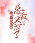 卫秘书的试用期总裁又浑了