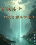 梦境关卡:风灵月影玩家速通