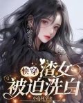 快穿:那些年渣女渣过的大佬们