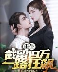 重生:截留19万,一路狂飙