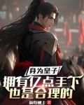 身为皇子拥有亿点手下也是合理的