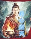 丹心逆天