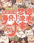 猫猫我啊,想给每只小流浪一个家