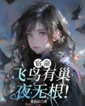 宿命:飞鸟有巢,夜无根!