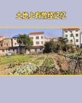 土地上有曾经记忆