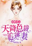招聘老公:天降总裁追逃妻