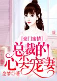 豪门蜜情:总裁的心尖宠妻
