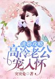 诱婚攻略:高冷老公,宠入怀