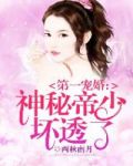 第一宠婚:神秘帝少坏透了