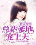 萌宝驾到:爹地宠上天