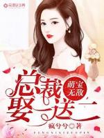 萌宝无敌:总裁娶一送二