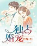 独占婚宠