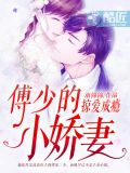 掠爱成瘾:傅少的小娇妻(又名:情深意动:傅少宠入骨)