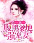 捡一送一:腹黑爹地强宠妻