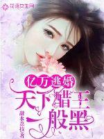 亿万逃婚:天下醋王一般黑
