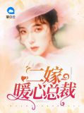 二嫁暖心总裁董兮瑶