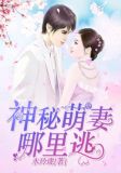 神秘萌妻,哪里逃