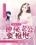 婚途有坑:神秘老公要抱抱
