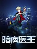 暗夜医王叶修