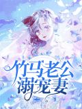 竹马老公溺宠妻洛珈