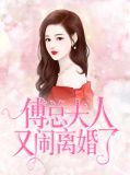 傅总,夫人又闹离婚了