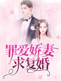 罪爱娇妻求复婚沈晚星贺西洲