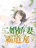 顾锦星裴夜寻