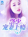 洛少宠妻上瘾