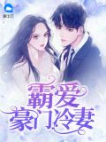 霸爱豪门冷妻